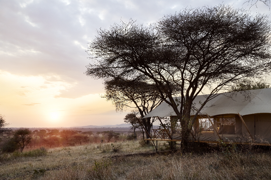 Out Of Africa Lala Laba Serengeti Camp