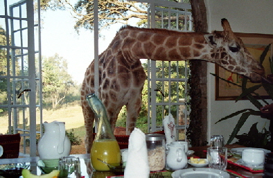 Giraffe Manor in Nairobi Hotel