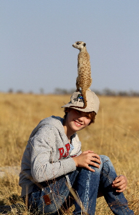 Botswana Safari Erdm�nnchen