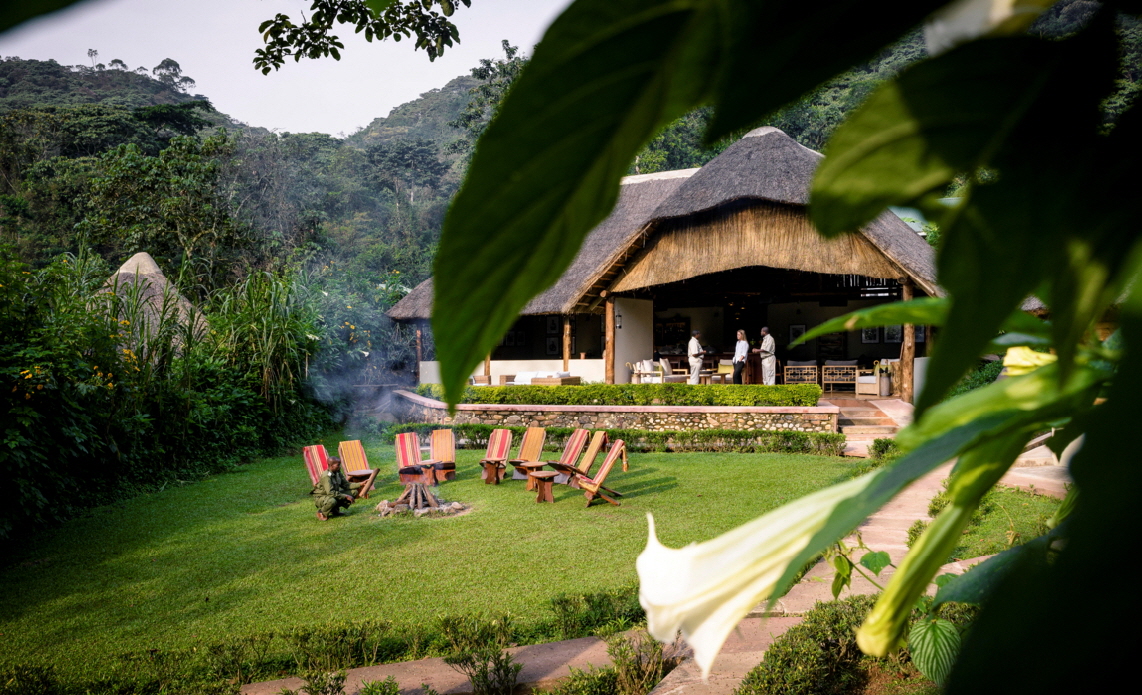 Gorilla Forest Camp 