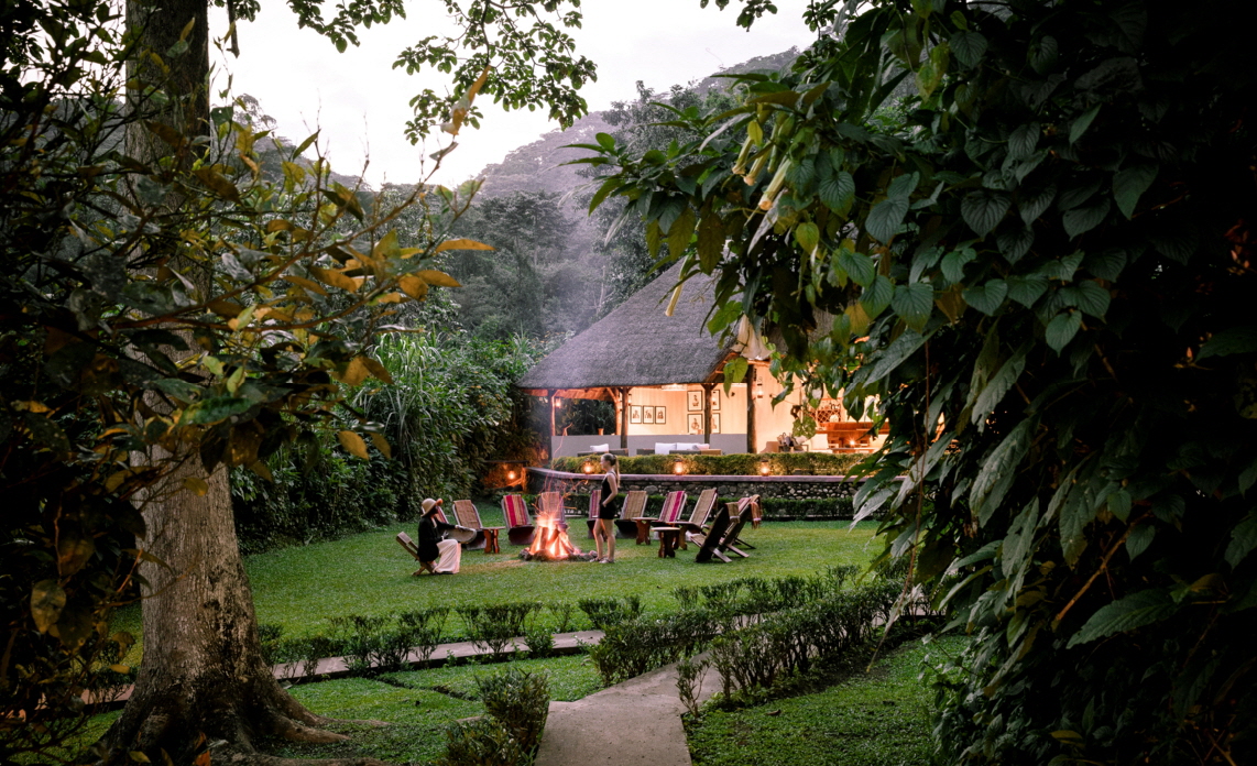 Gorilla Forest Camp 