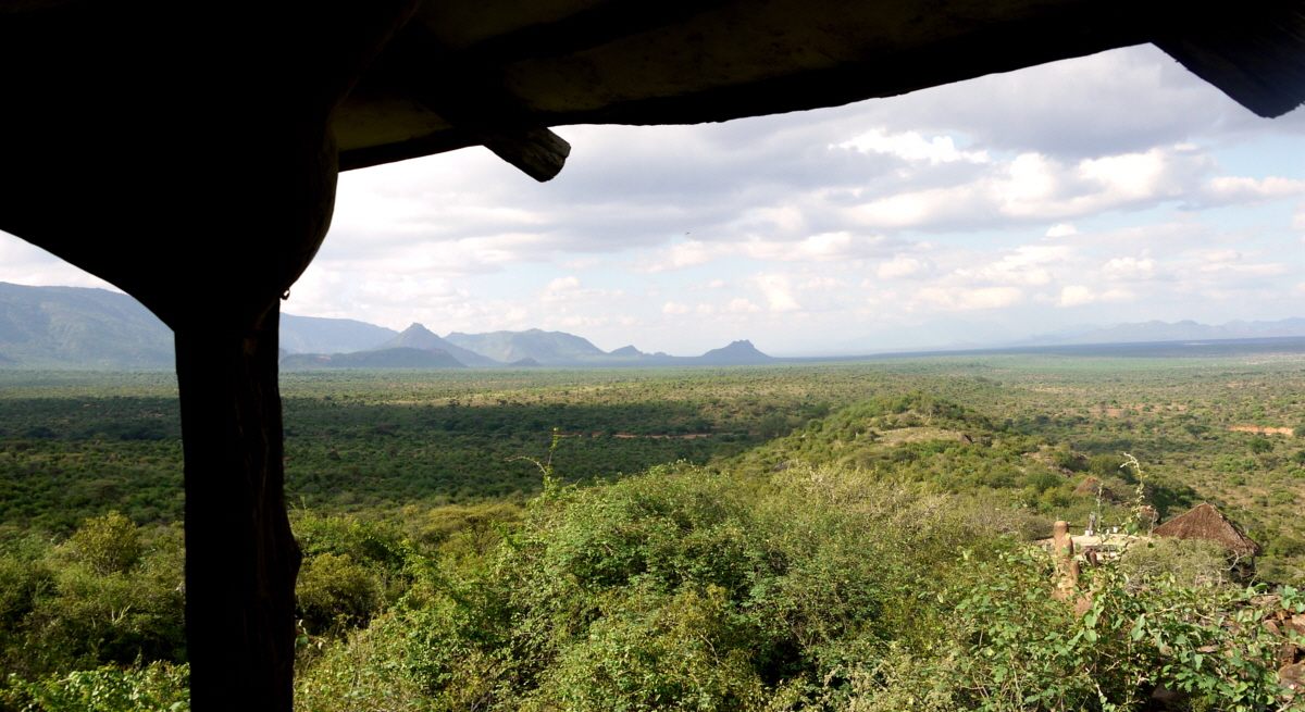 Tassia Lodge Elefanten