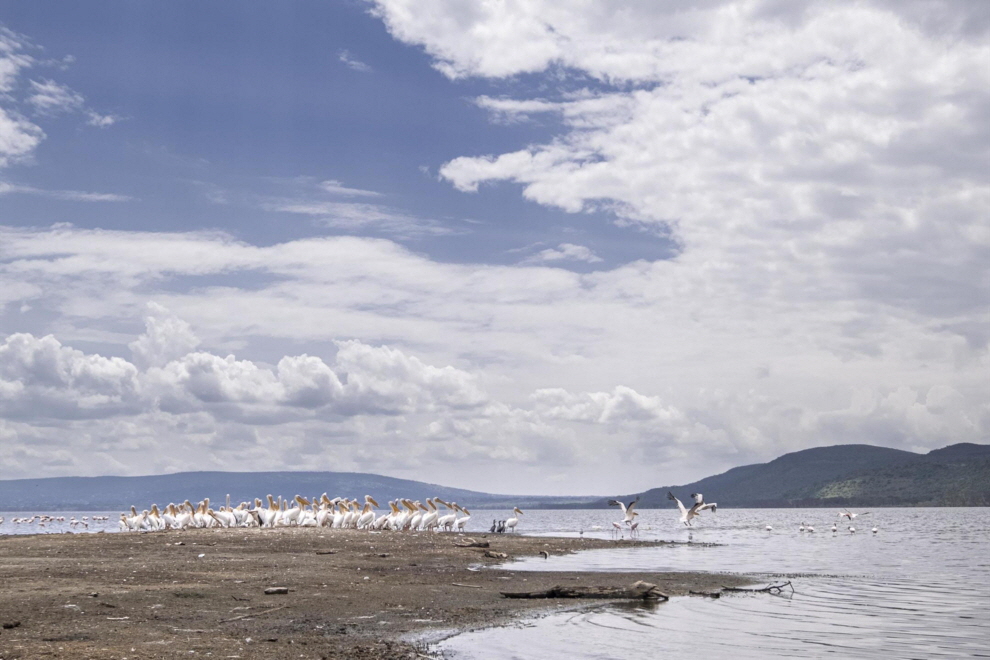 Lake Nakuru  