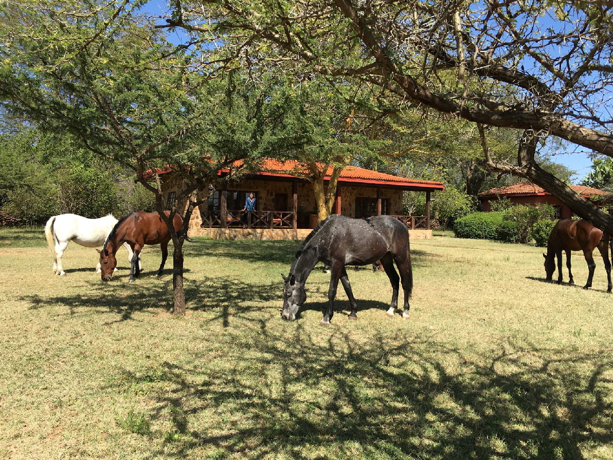 Reitsafari Kenia Hochland