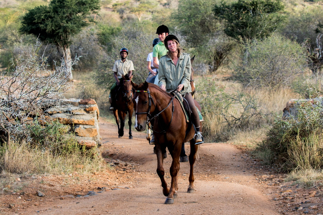 Jetzt mit Reit-Safaris